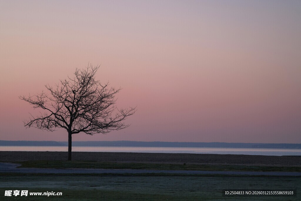 黄昏孤树 静谧湖畔景致