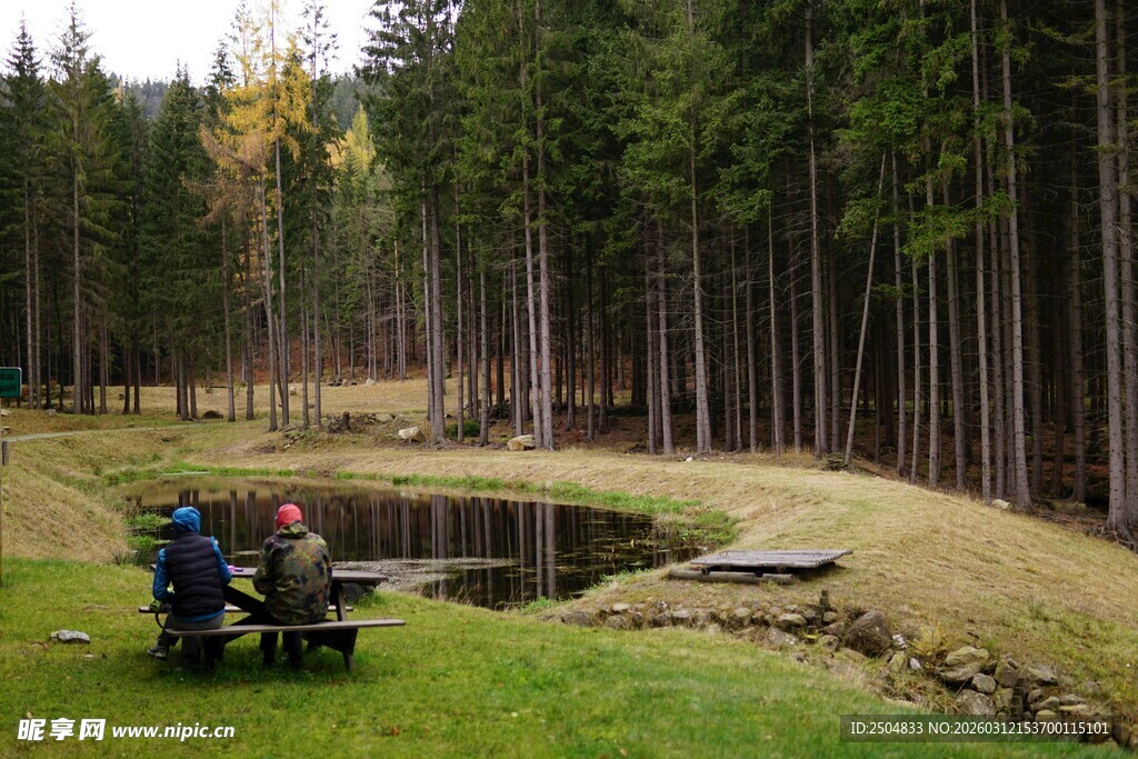 林间草地露营场景