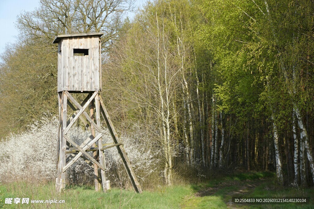 林中狩猎瞭望塔
