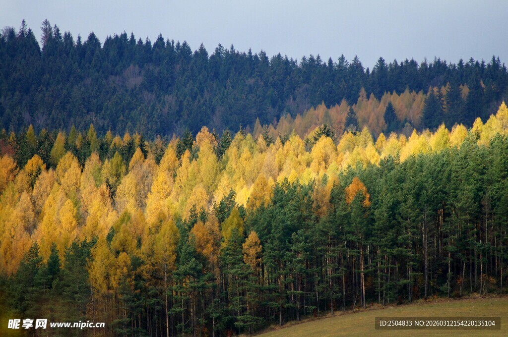 秋日山林斑斓美景