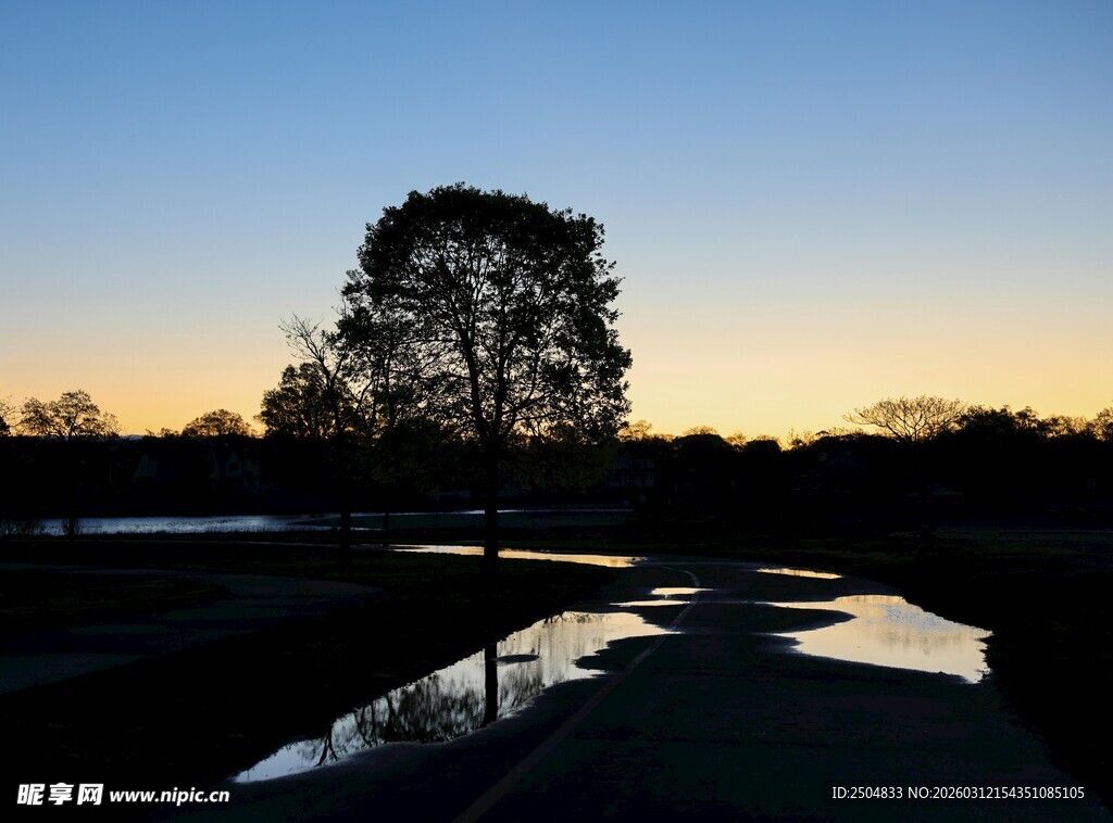 黄昏湖畔树影美景