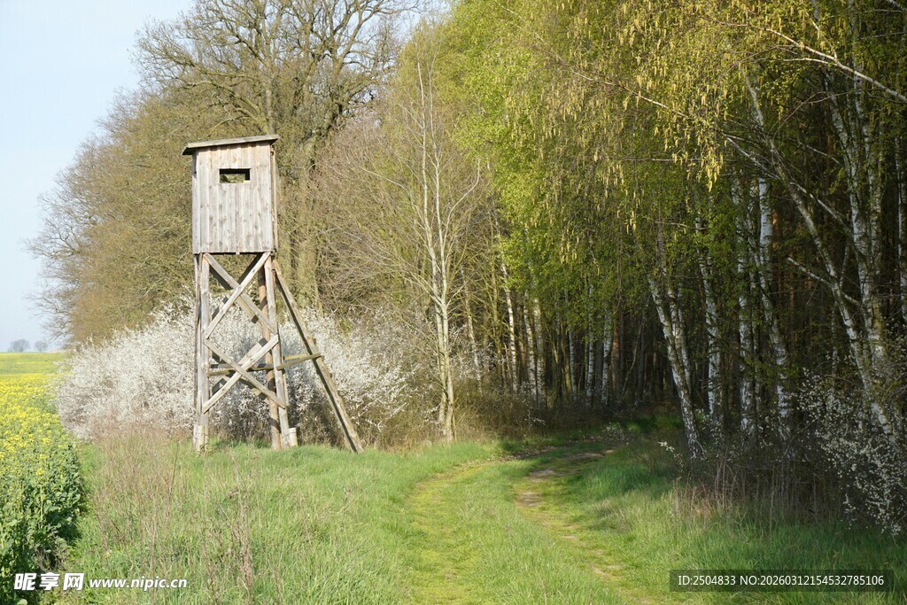 林间狩猎瞭望塔