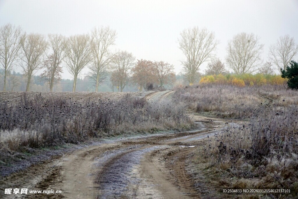 冬日荒野中的蜿蜒泥路