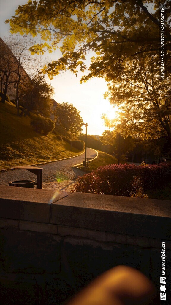 夕阳下的街道风光