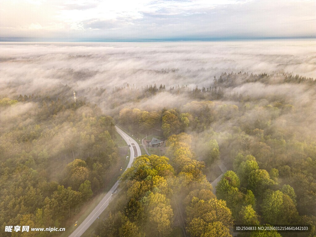 晨雾中蜿蜒于森林的公路