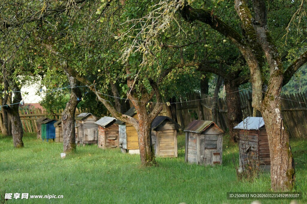 林间草地的古朴蜂箱