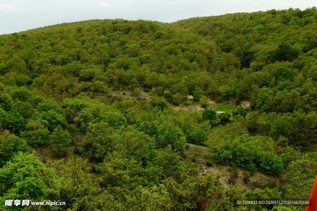 绿意盎然的山丘景色
