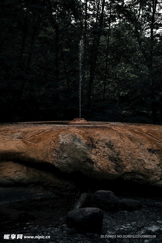 森林中的巨石与孤树