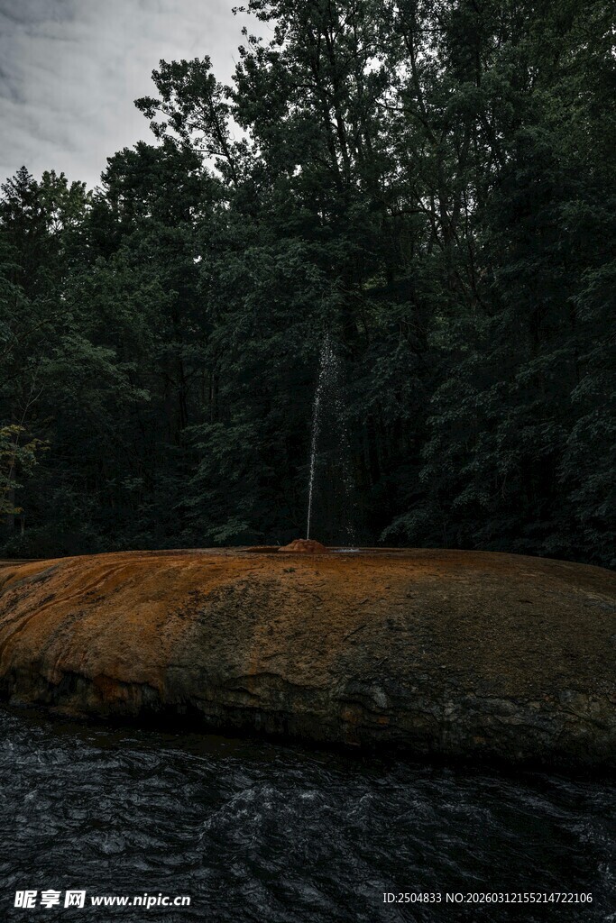 黄昏湖畔的静谧树林