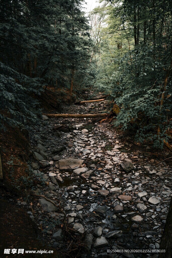 林间溪流 石间自然景致