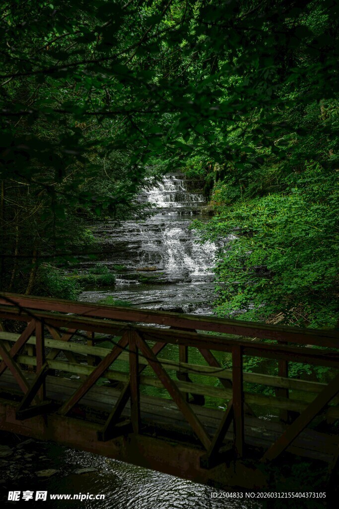 林间木桥旁的潺潺溪流