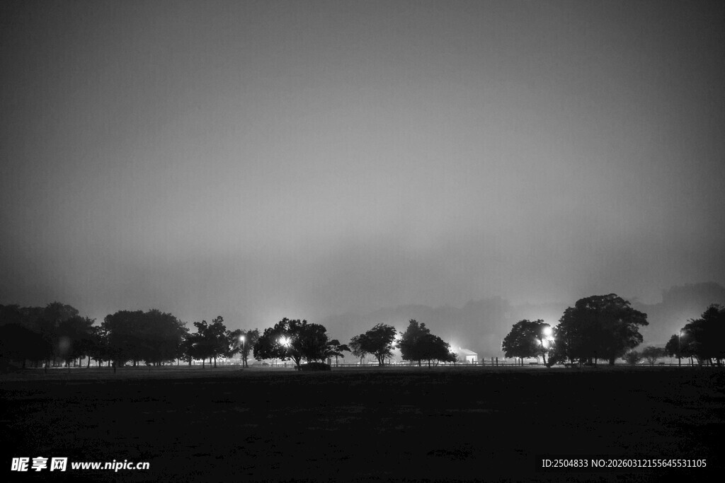 黑白田野树木朦胧景象