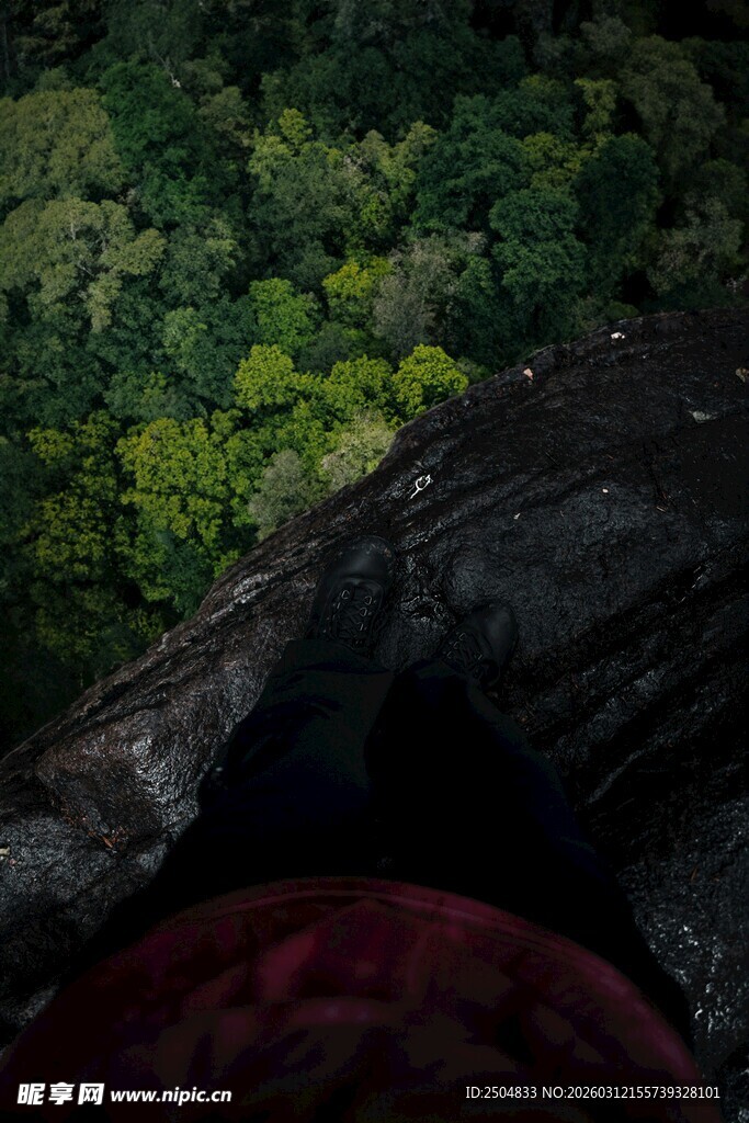洞穴视角下的繁茂绿植