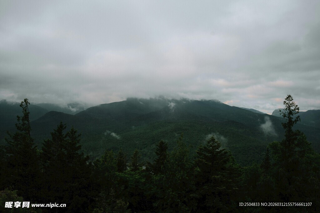 云雾缭绕的山林景观
