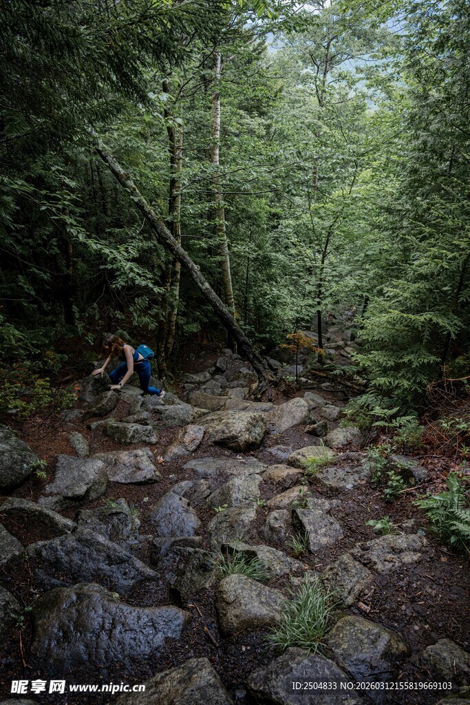徒步者穿行于林间乱石路