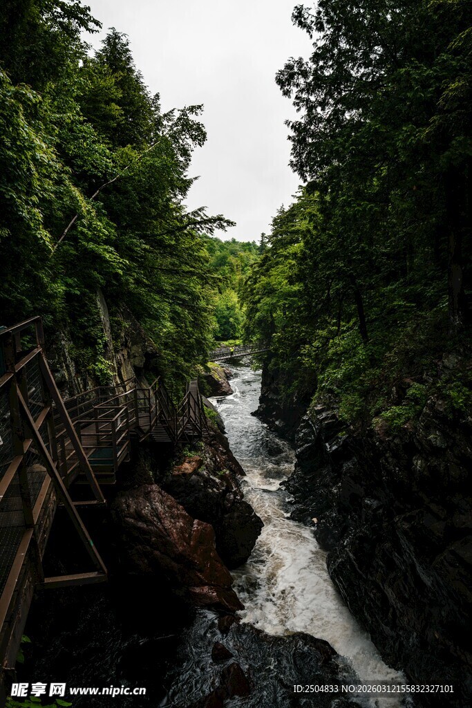 山间湍急溪流与繁茂植被