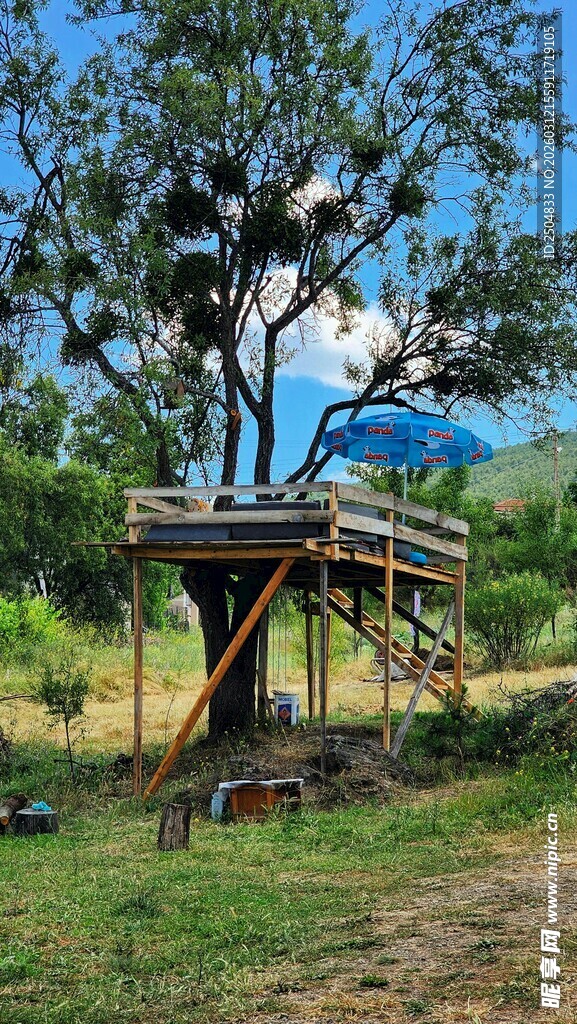 户外树屋 享受自然好风光