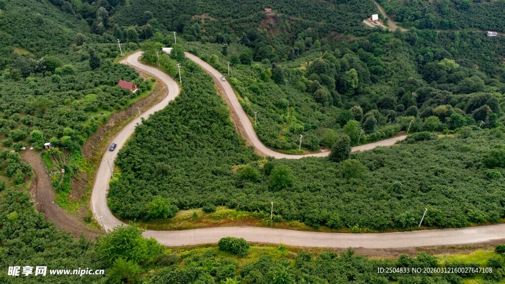 蜿蜒山路穿梭于翠绿山林