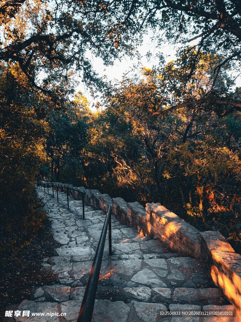 林间石径 沐浴温暖夕晖