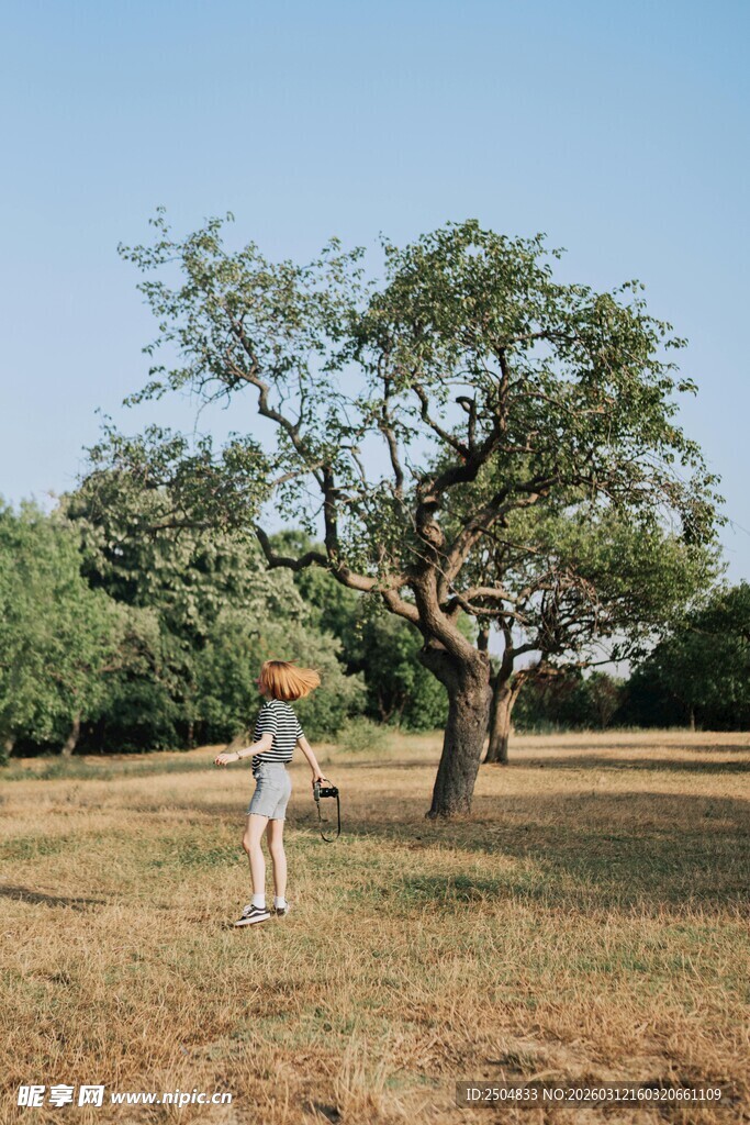 田野中大树下漫步的人
