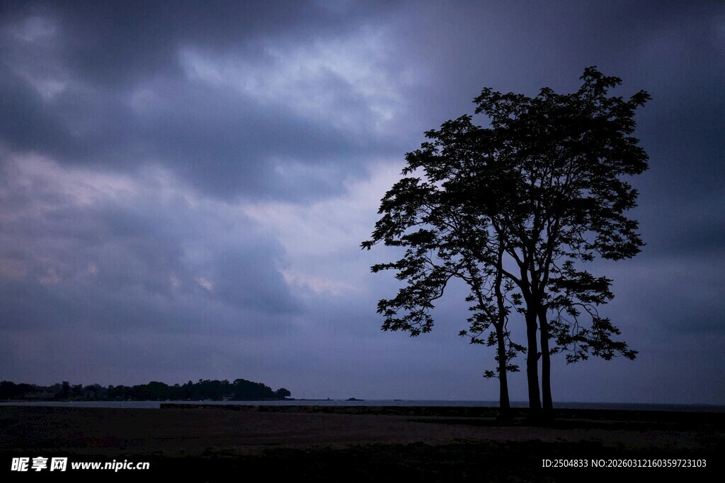 孤树耸立在阴云笼罩天地