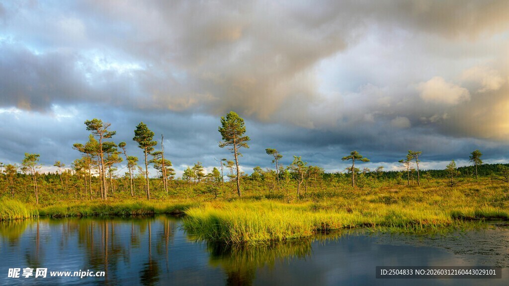 湖畔风光 云下草木映天色