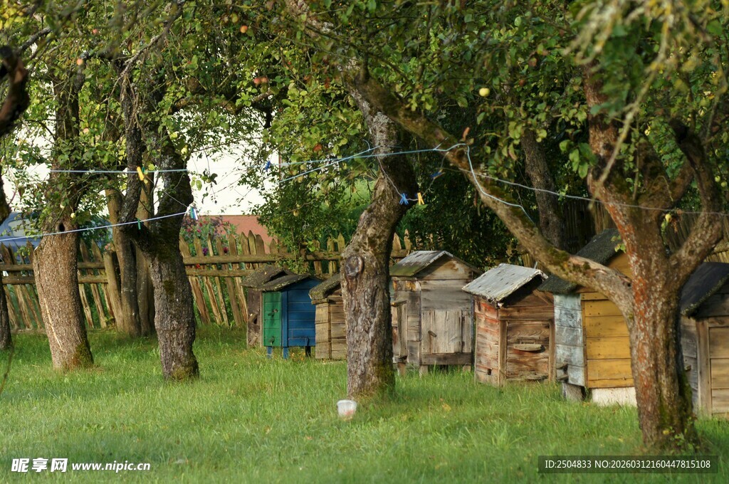 林间小屋 静谧田园风光