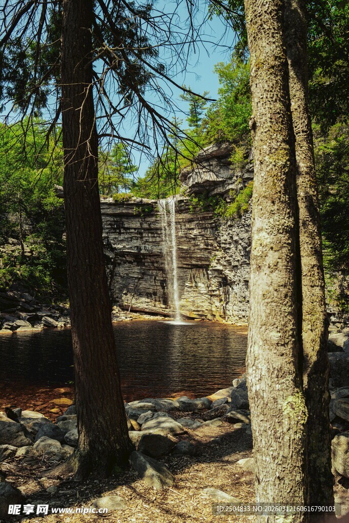 林间瀑布下的静谧景致