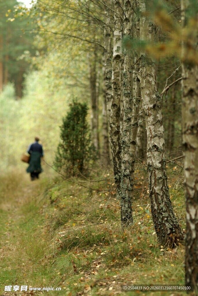 林间独行者