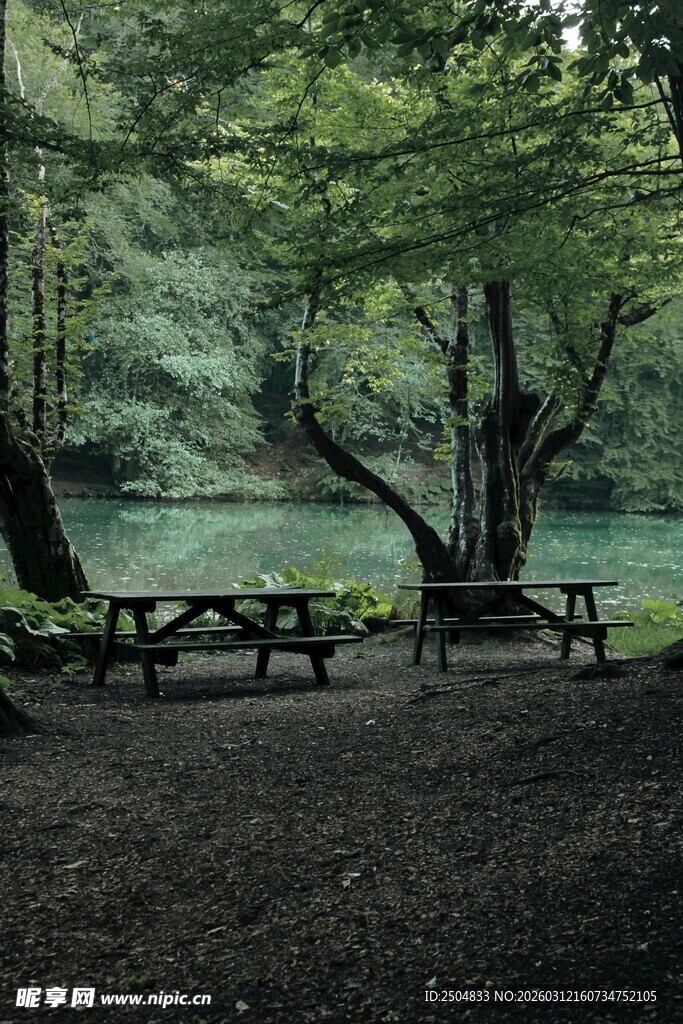 林间静谧野餐桌