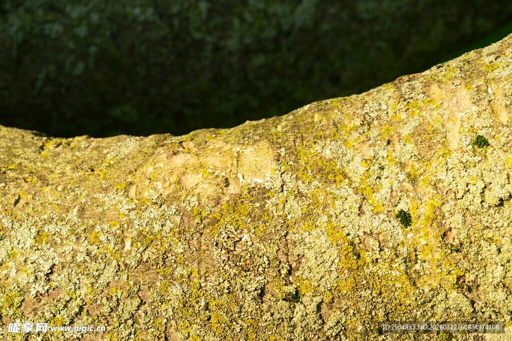 岩石表面纹理特写