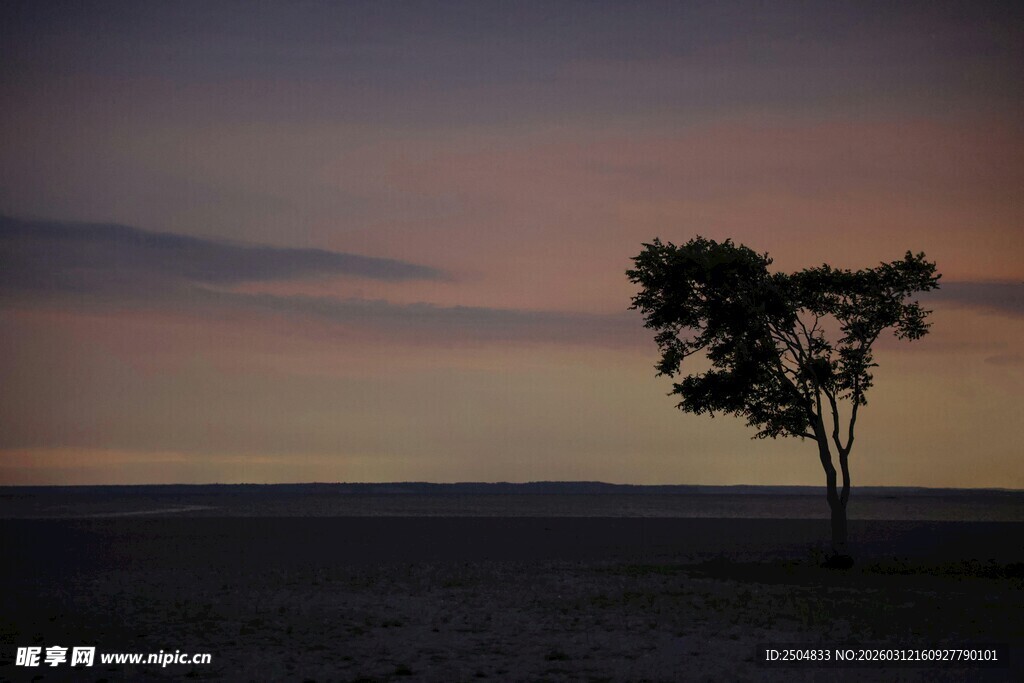 旷野孤树的黄昏美景