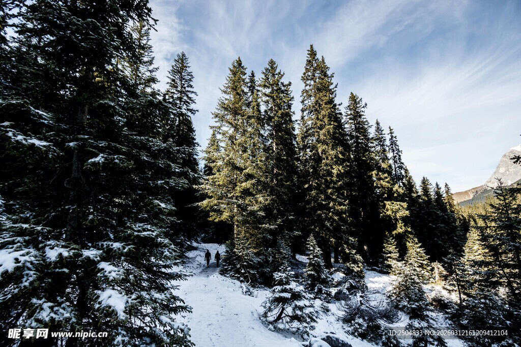 雪覆山林美景