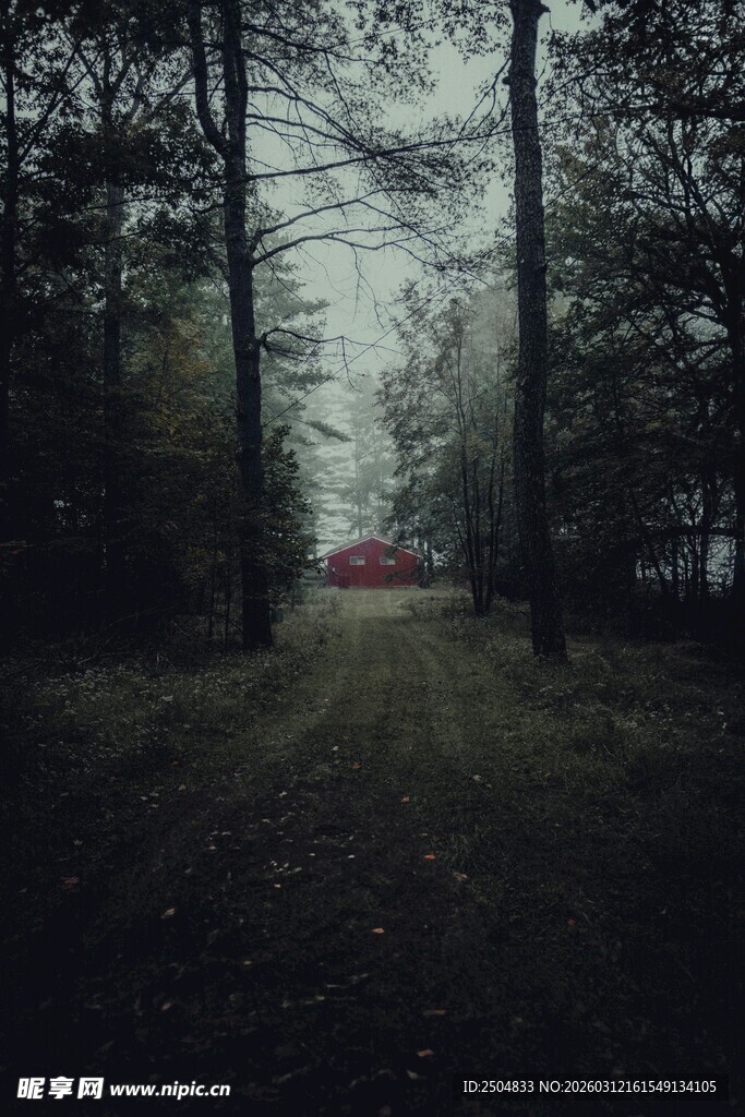 迷雾森林中的神秘红车