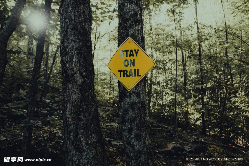 林中黄色徒步小径指示牌