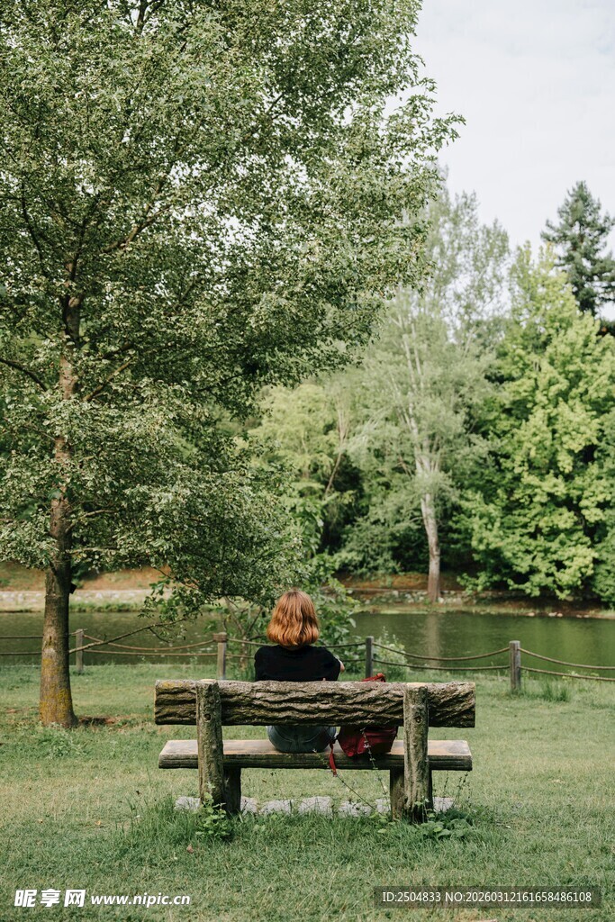 公园中的户外野餐场景