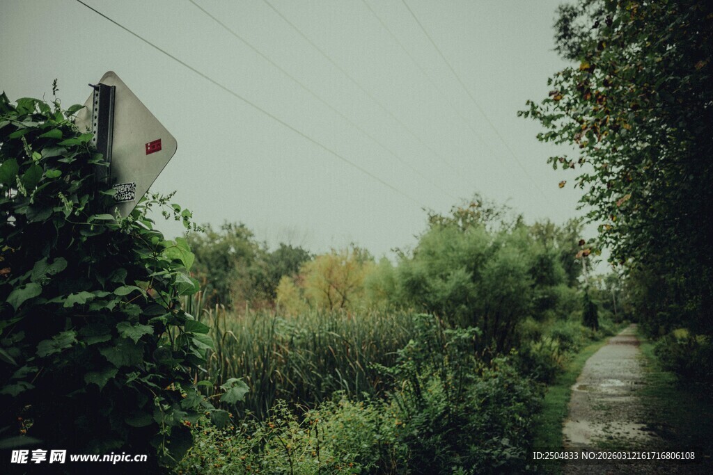 小径旁的绿植与指示牌