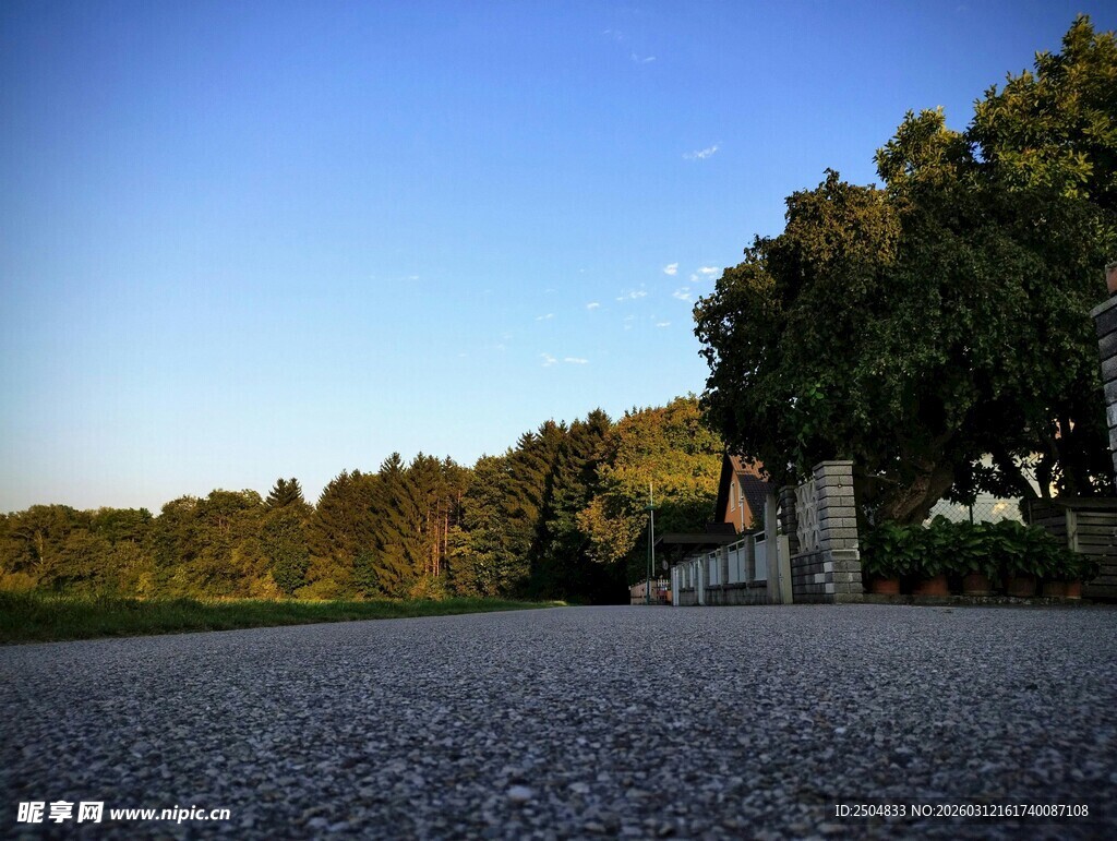 宁静乡间路与葱郁树木