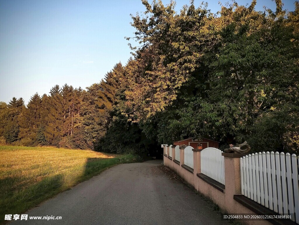 乡村小路旁的树木与围栏