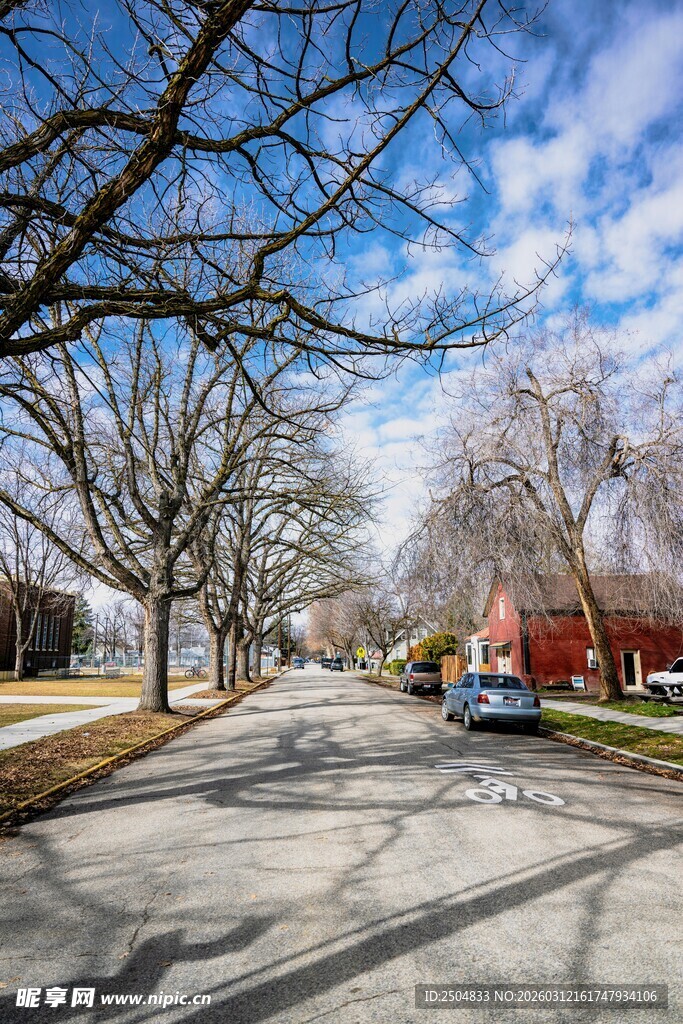 冬日街道风景