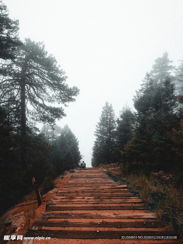 林间红阶 漫步清幽之径