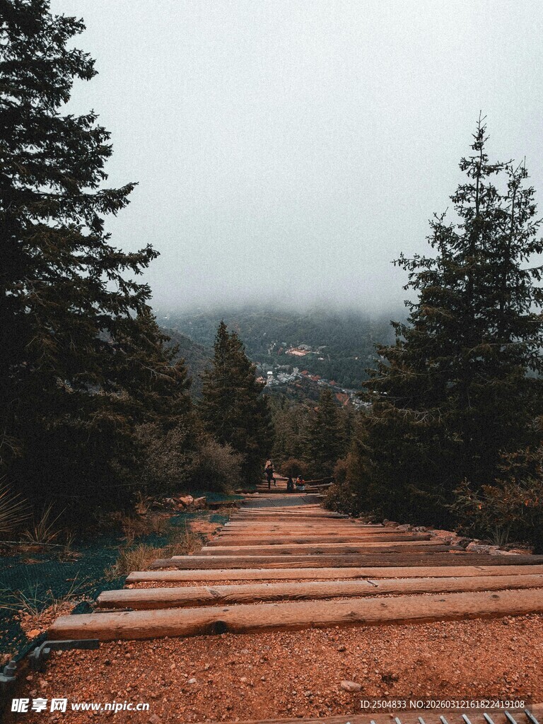 山间木阶小径 林木环绕