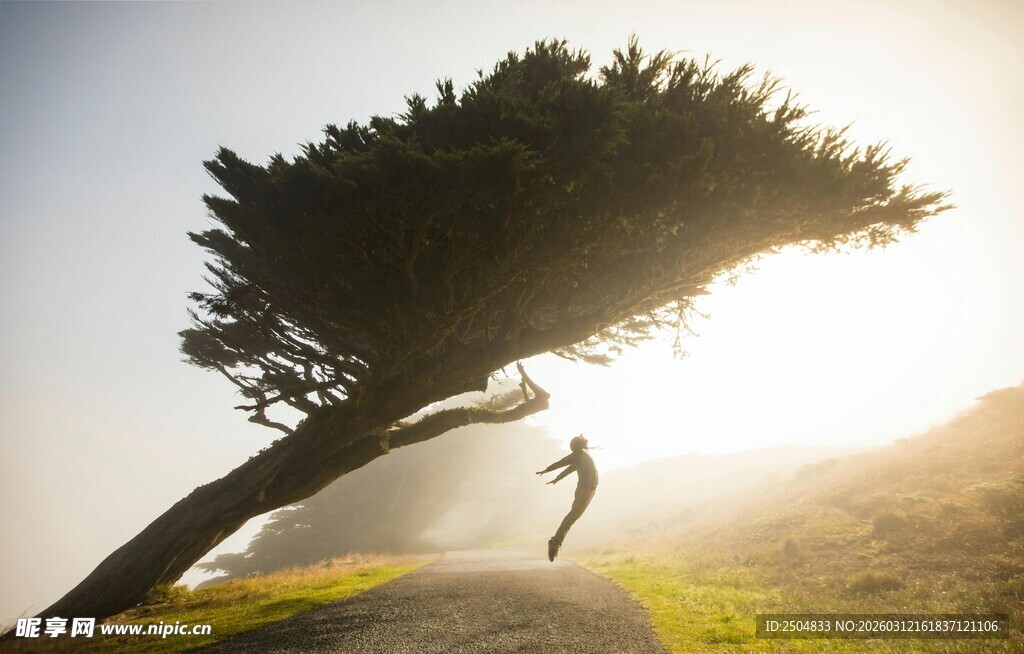 阳光下独树旁跳跃的身影