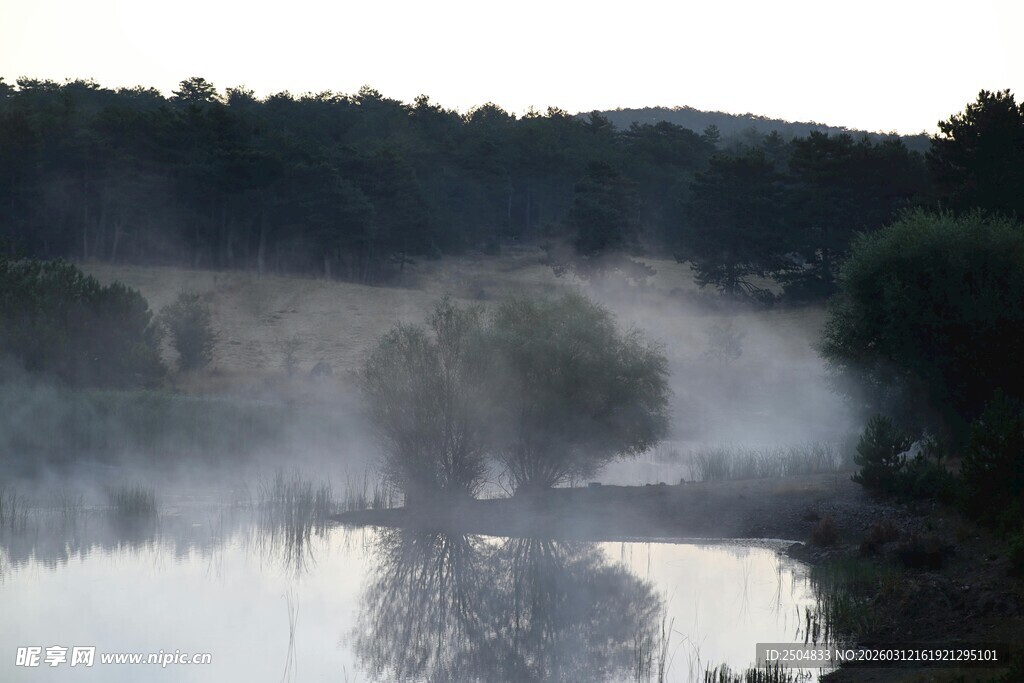 晨雾笼罩下的静谧湖泊