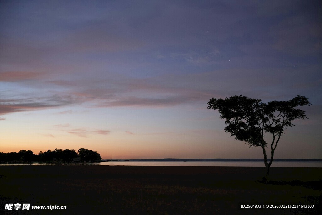 黄昏孤寂树 天地静谧景
