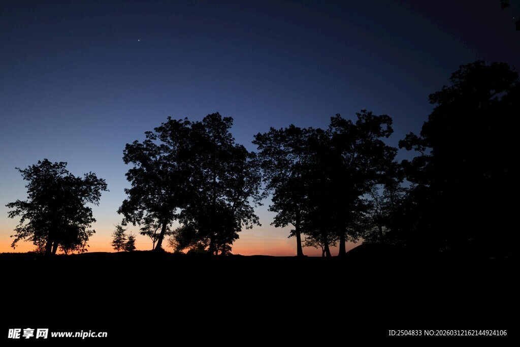 黄昏下的树木剪影