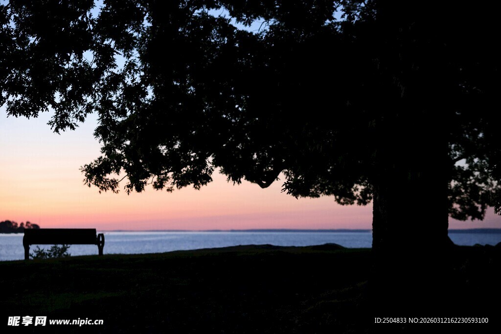黄昏树下的静谧长椅