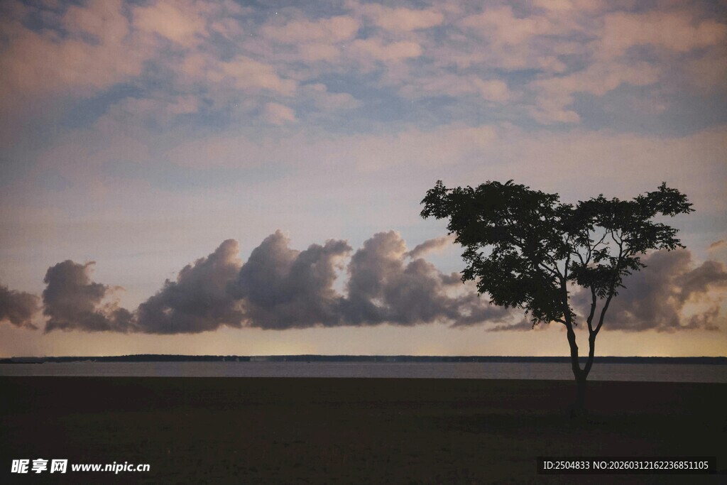 旷野孤树 天边云霞美景