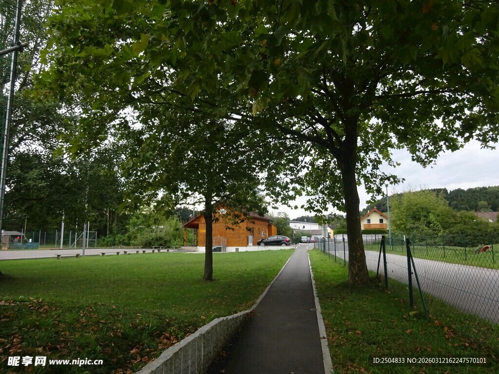 林间小径 静谧自然风光