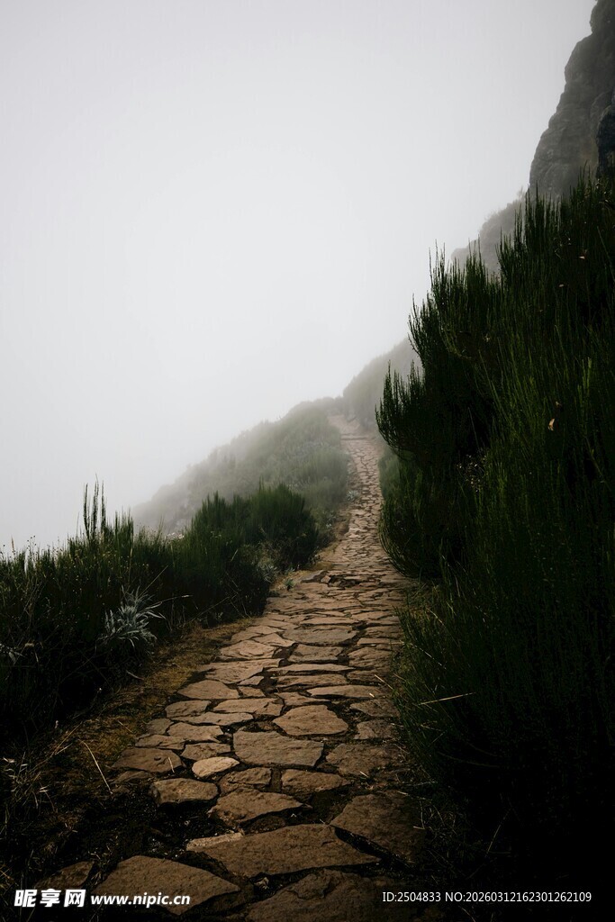 雾中蜿蜒的山间石板小径